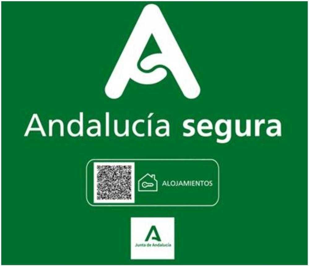 Todosierranevada Zona Baja - Edificio Atlas - Vistas A La Montana - Junto A Los Telecabinas Sierra Nevada Exteriör bild